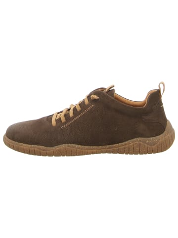 Josef Seibel Schnürschuhe in braun