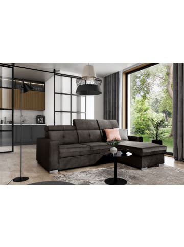 MF Design Falcon Recamiere Rechts in Braun -  (L) 248 x (B) 248 x (H) 95 cm