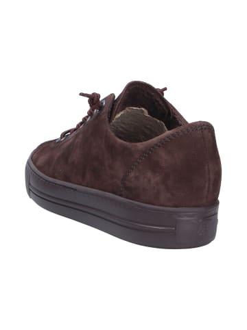 Paul Green Sneaker in braun
