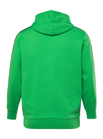 Men Plus Sweatshirt in petersilie