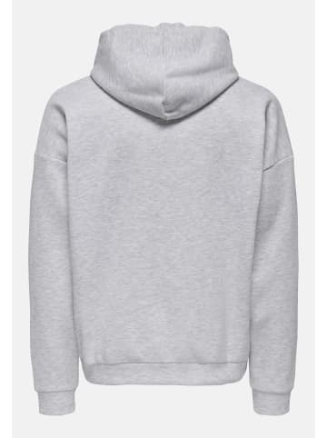 Only&Sons Sweatjacke 'CHASE' in grau