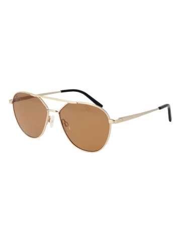 Serengeti Unisex Sonnenbrille Flieger Gold