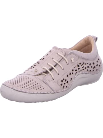 Cosmos Comfort Slipper in grau