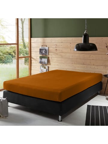 Erwin Müller Single-Jersey Boxspringbett-Spannbettlaken Freising in kupfer
