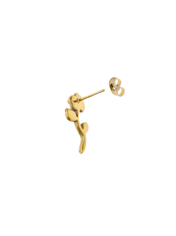 NAEMI Women Earrings in Gold