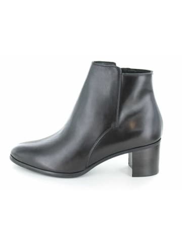Accatino Stiefeletten in schwarz