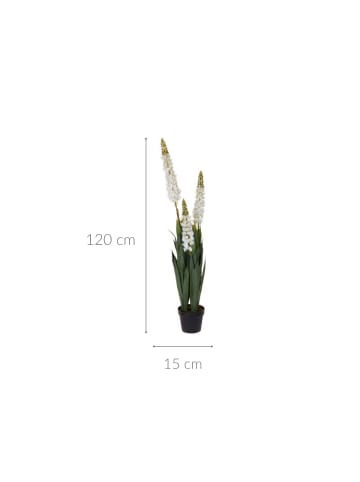 Home&Styling Collection Künstliche Lupine im Topf in Weiß, 120 cm
