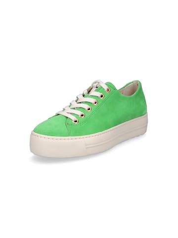 Paul Green Sneaker in Grün