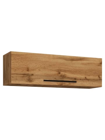 VCM  Holz Wandregal Wandschrank Klappschrank Arila L in Honig-Eiche