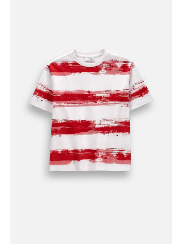 Coccodrillo Baumwoll-t-shirt mit kurzen ärmeln in rot