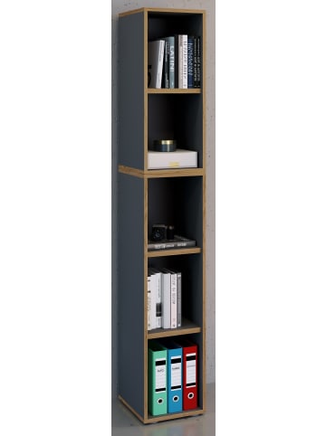 VCM  Holz Büro Regal Bücher Ordner Salia 5fach B. 30 cm in Anthrazit