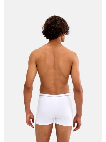 ellesse Trunks 'Ambria' 3er Pack in mehrfarbig