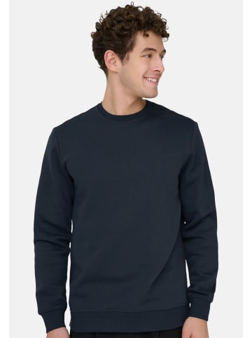 ONLY & SONS Sweatshirt Connor in Dunkelblau / braun