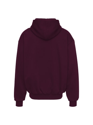 Kk College Oversized Hoodie in Violett