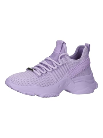 Steve Madden Sneaker in Lavender