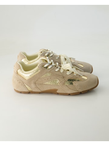 Steve Madden Sneaker low in Beige