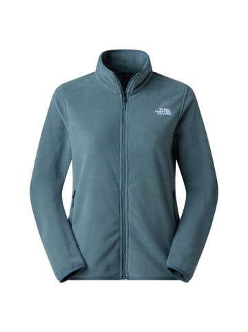 The North Face Fleecejacke Glacier Fleece Jacket in Hellblau