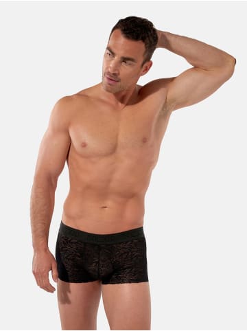 HOM Trunk Free Cut Lace in Black