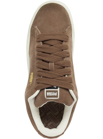 Puma Puma Puma Suede XL Sneakers in haute coffee/desert dust