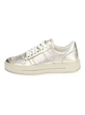 ara Sneaker in Platin