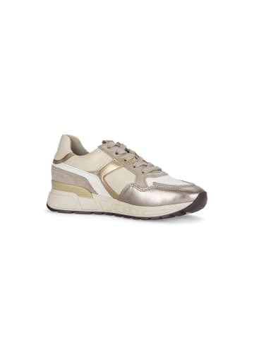 Gabor Sneaker low in multicolour