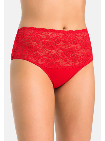 Teyli 3er Pack: Hohe Taille Baumwollslip mit Spitze Violetta in rot