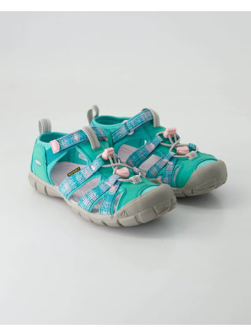 Keen Klettschuhe in Grün