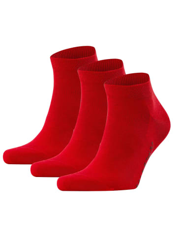 Falke Socken 3er Pack in Rot