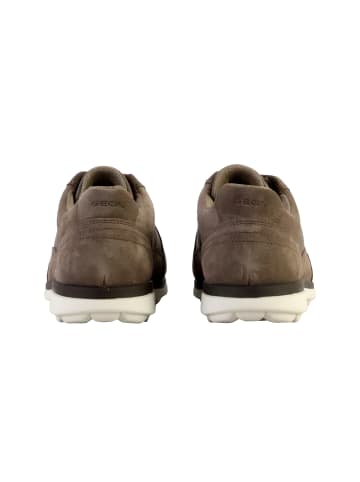 Geox Spherica-Sneaker aus Leder Grau