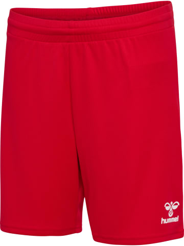 Hummel Kurze Hose Hmlessential Kinder in TRUE RED