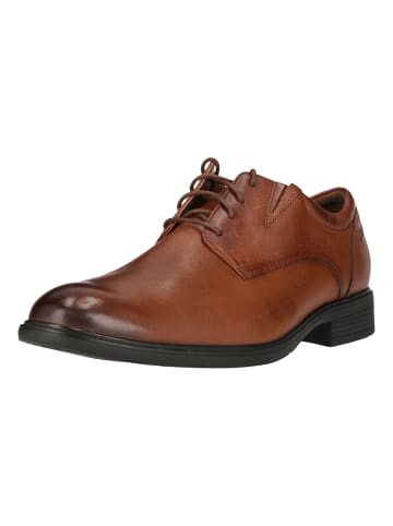 Clarks Businessschuhe Steadwell Lace in 5234 Dark Tan Lea