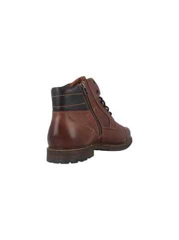 Fretz Men Stiefel in Braun