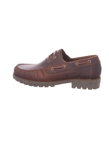 PANAMA JACK Schnürschuh in braun