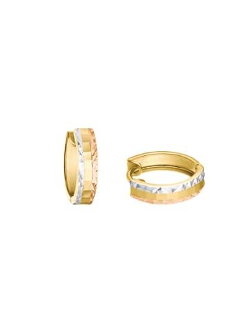 Amor Creolen Gold 375/9 ct in Tricolor