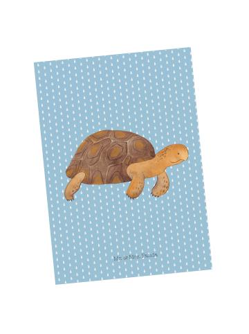 Mr. & Mrs. Panda Grußkarte Schildkröte MHerzieren ohne Spruch in Blau Pastell