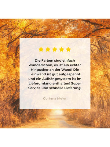 MuchoWow Leinwand bilder Waldweg (BxH)