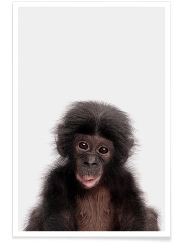 Juniqe Poster "Bonobo" in Braun & Schwarz