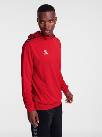 Hummel Kapuzenpullover Hmlauthentic Herren in TRUE RED