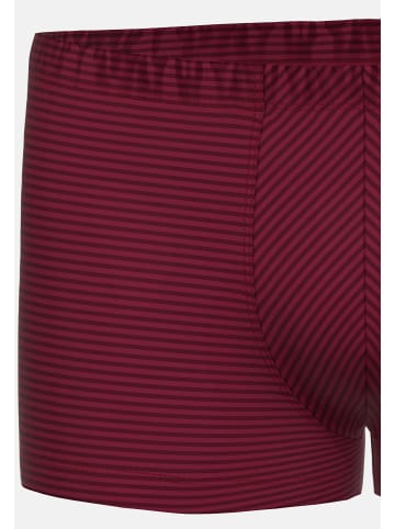 Ammann Retro Short / Pant Cotton & More in Bordeaux