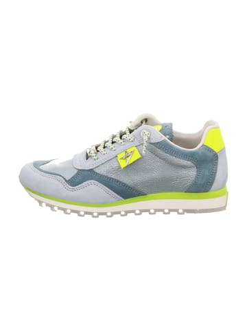 Cetti Sneaker Low in Blau