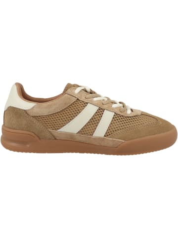 Steve Madden Sneaker low Verdict XT in hellbraun