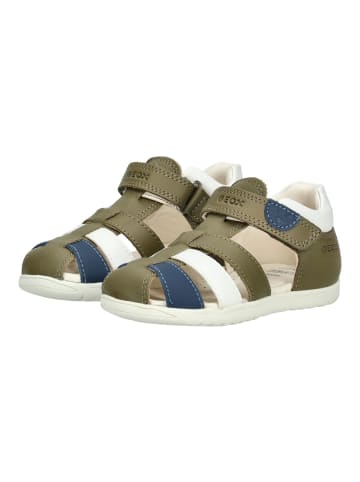Geox Halbschuhe Pistachio