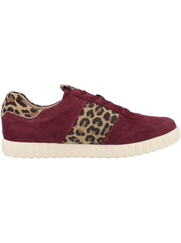 PETER KAISER Sneaker low 9-73340-45 in bordeaux