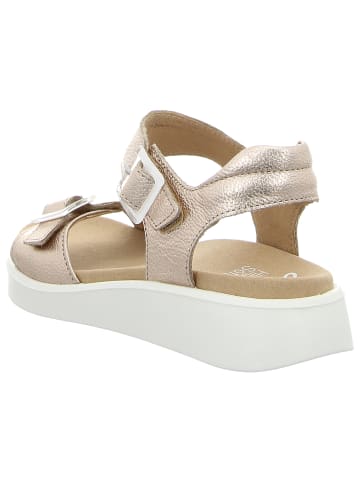 ara Komfort Sandale in beige