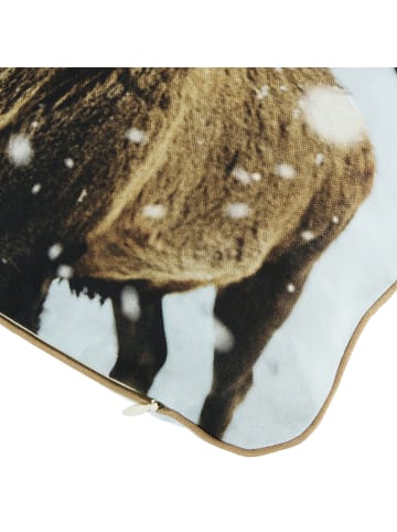 Erwin Müller Baumwolle Kissenhülle in Hirsch