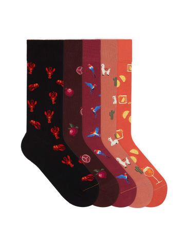 von Jungfeld Motivsocken Seasonal Icon Bundle in Lobster/Pomegranate/Parrot/Lama/Spritz