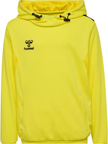 Hummel Kinder Hoodie "Hmlauthentic Pl Hoodie Kids" in Gelb