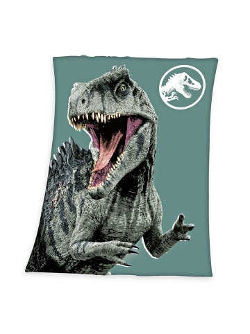 Herding Fleecedecke Jurassic World 130x170cm T-Rex in Grün