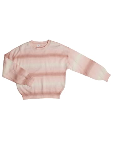GAP Pullover in Pink