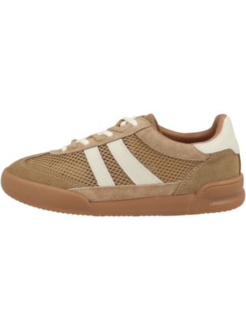 Steve Madden Sneaker low Verdict XT in hellbraun